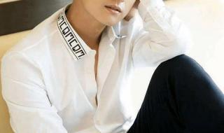 天龙八部胡军版插曲