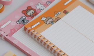 手帐便签十大用法